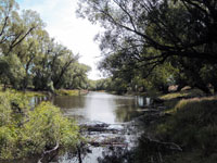 Taieri River